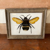 bee-picture