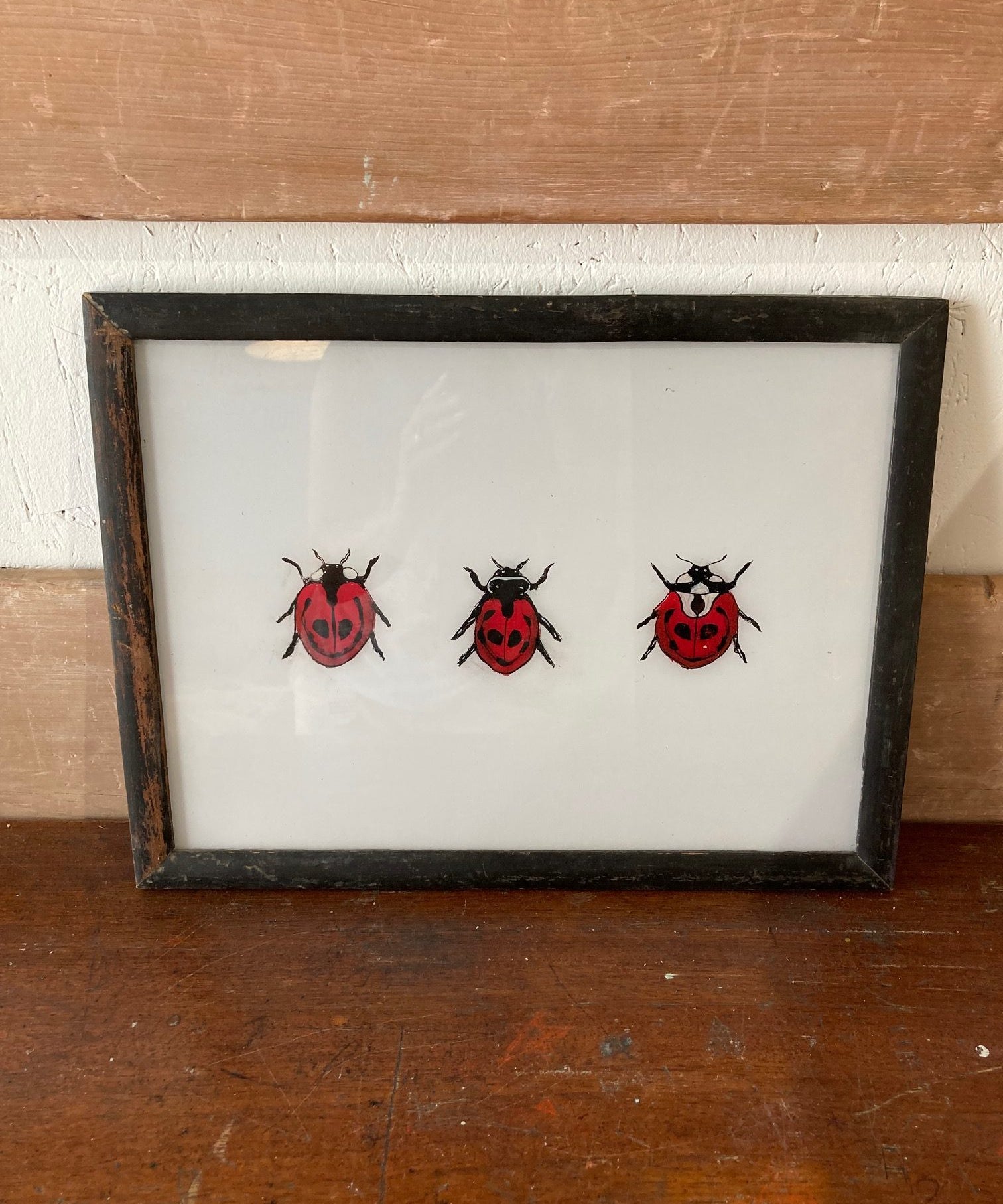 ladybird-picture