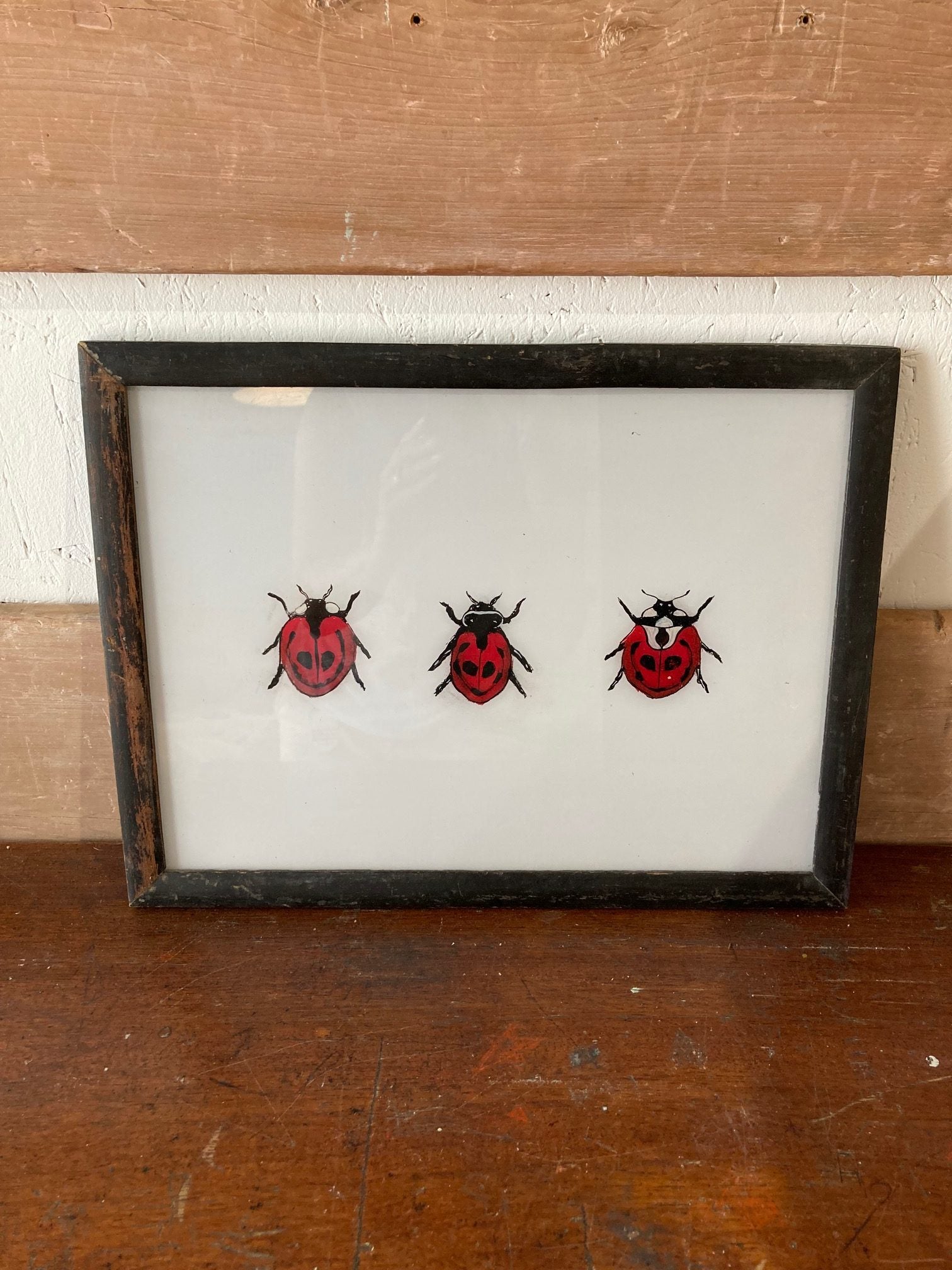 ladybird-picture