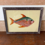 Fish Picture