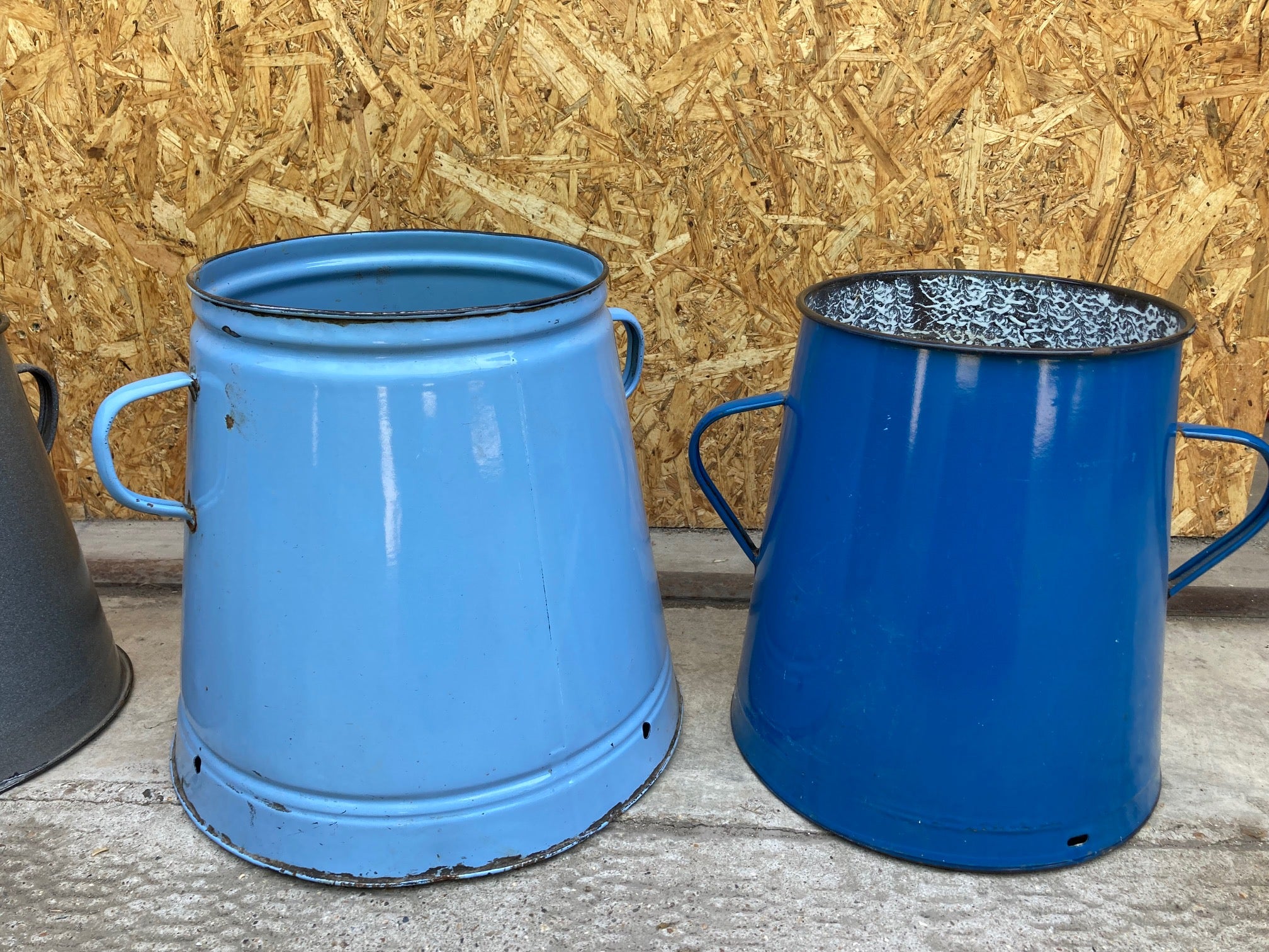 Blue-Maggies