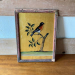 bird