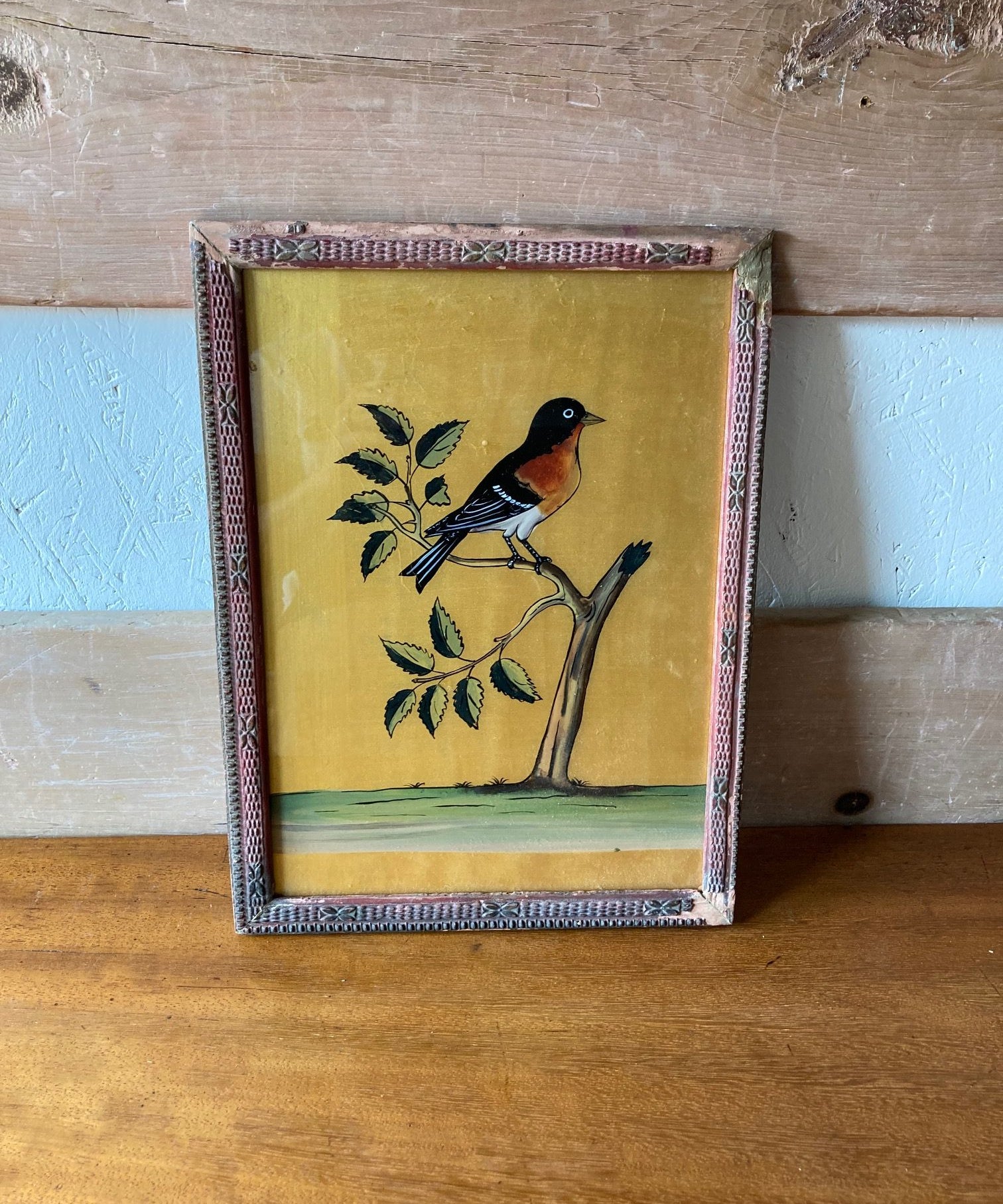 bird