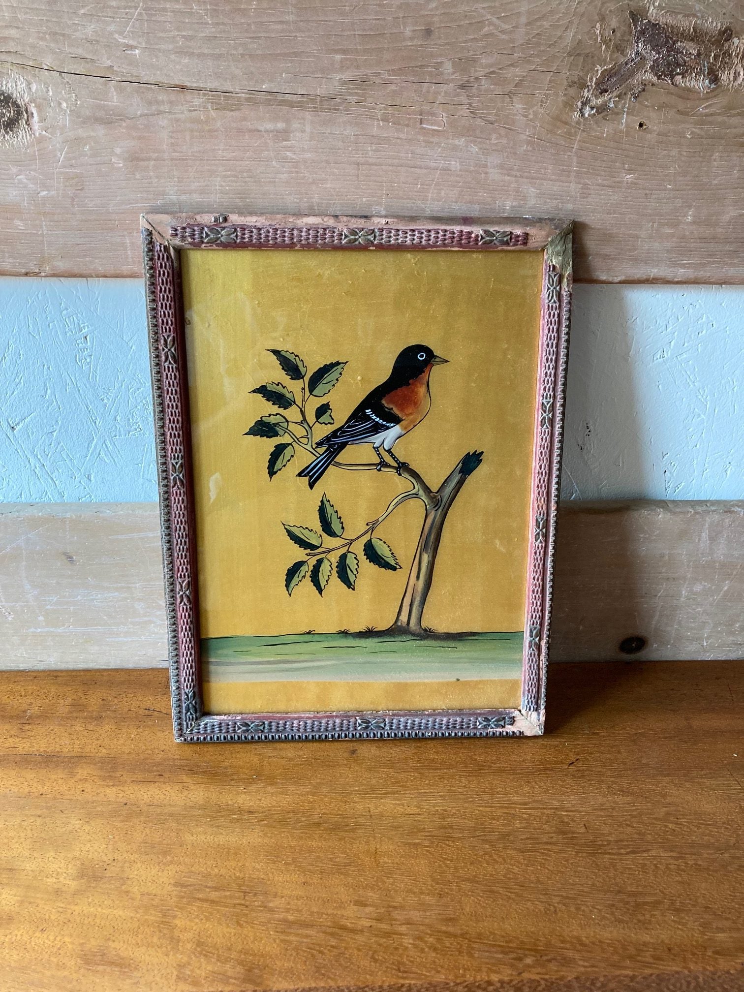 bird