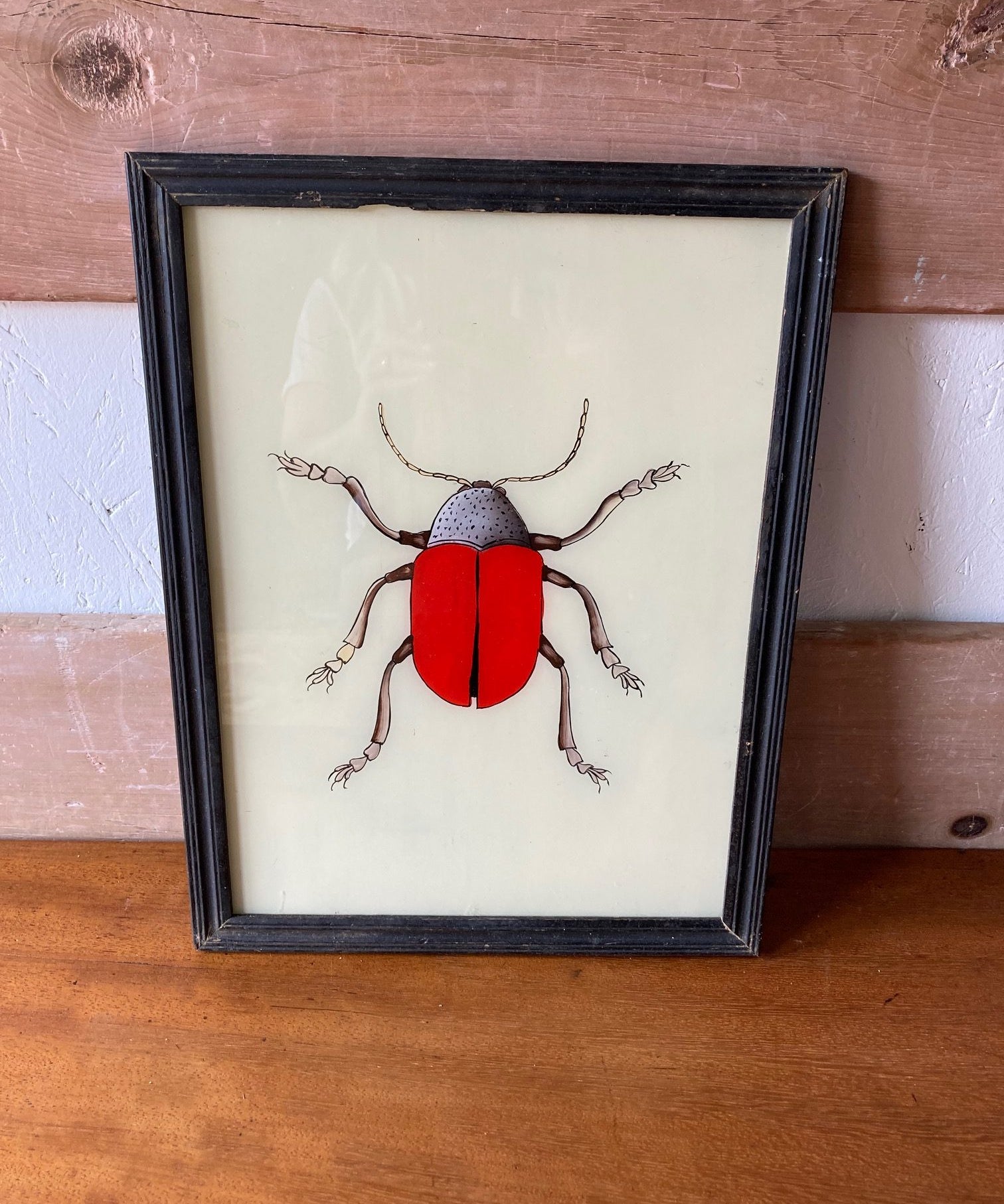 red-beetle