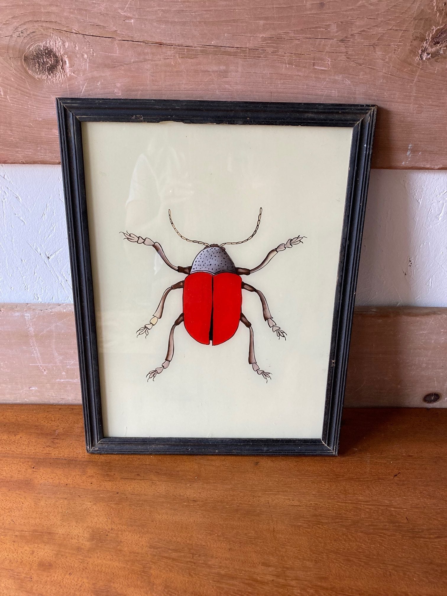 red-beetle