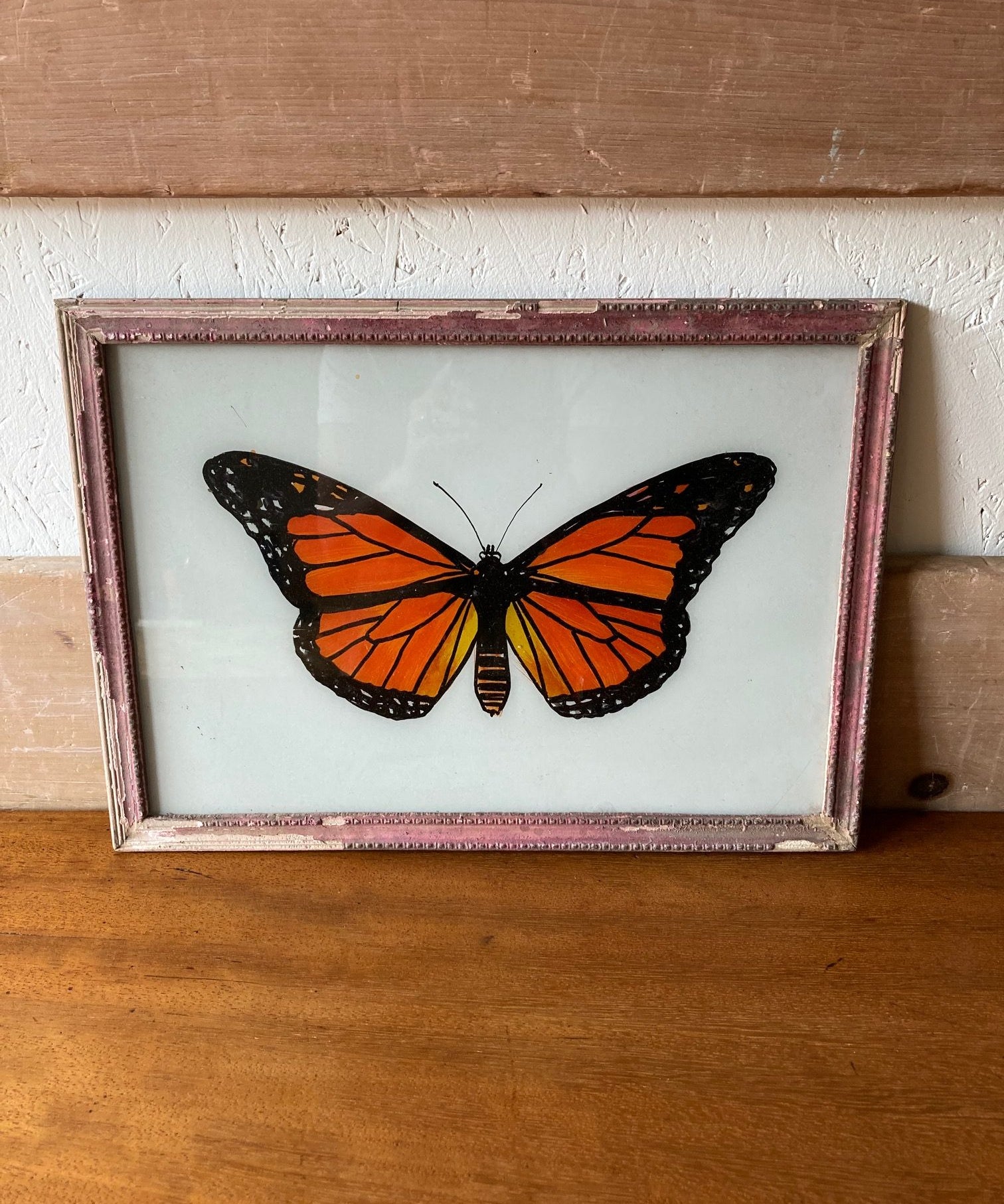 Orange-butterfuly-1