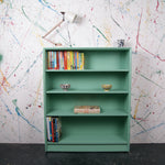 arsenic-bookshelf-4