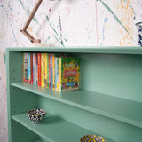 arsenic-bookshelf-6