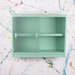 arsenic-glass-cabinet-21