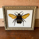 bee-picture-1