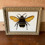 bee-picture-1