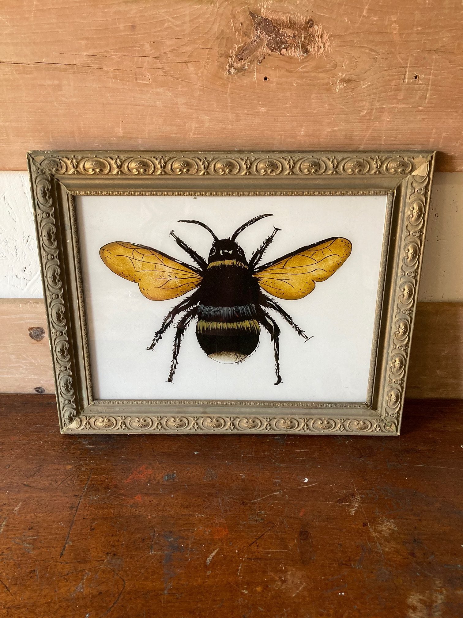 bee-picture-1