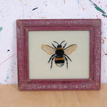 bee-picture-1