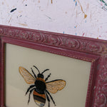 bee-picture-2