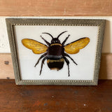 bee-picture