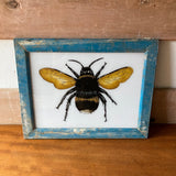 bee-picture