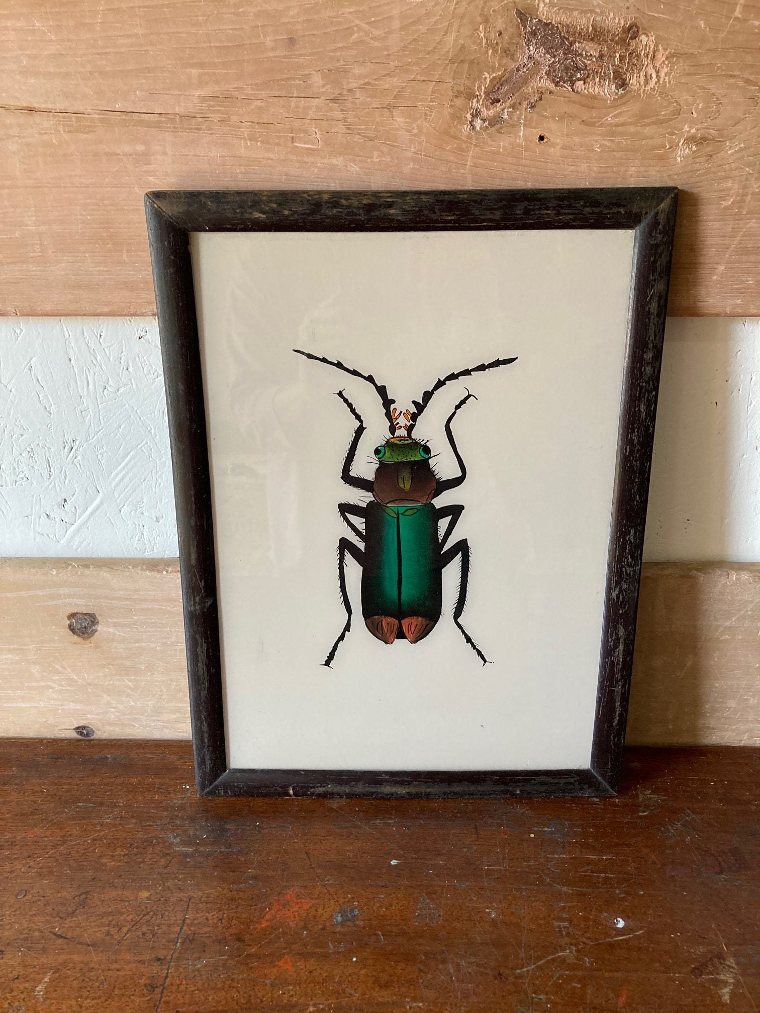 beetle-picture-1