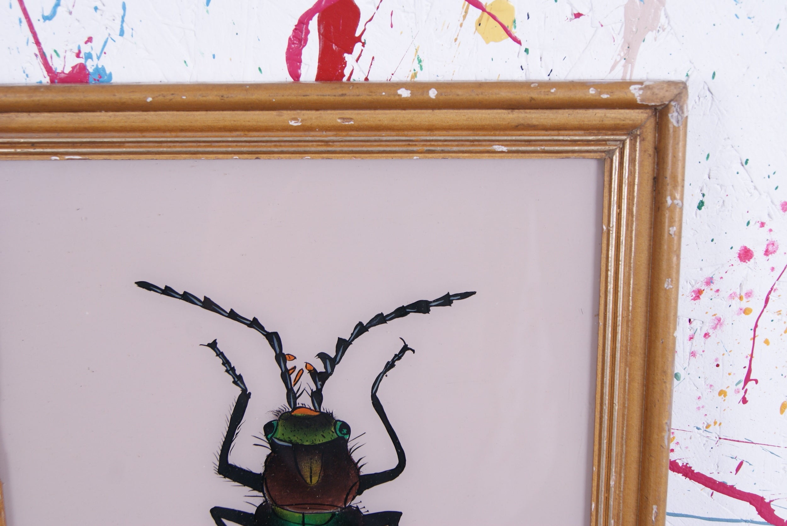 beetle-picture-2.
