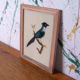 bird-indian-picture-1