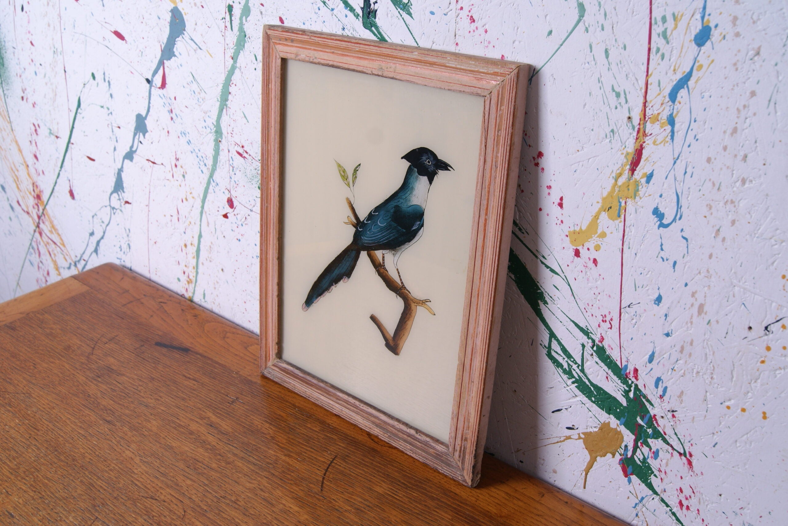 bird-indian-picture-1
