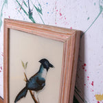 bird-indian-picture-2