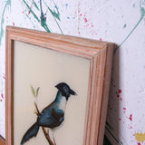 bird-indian-picture-2