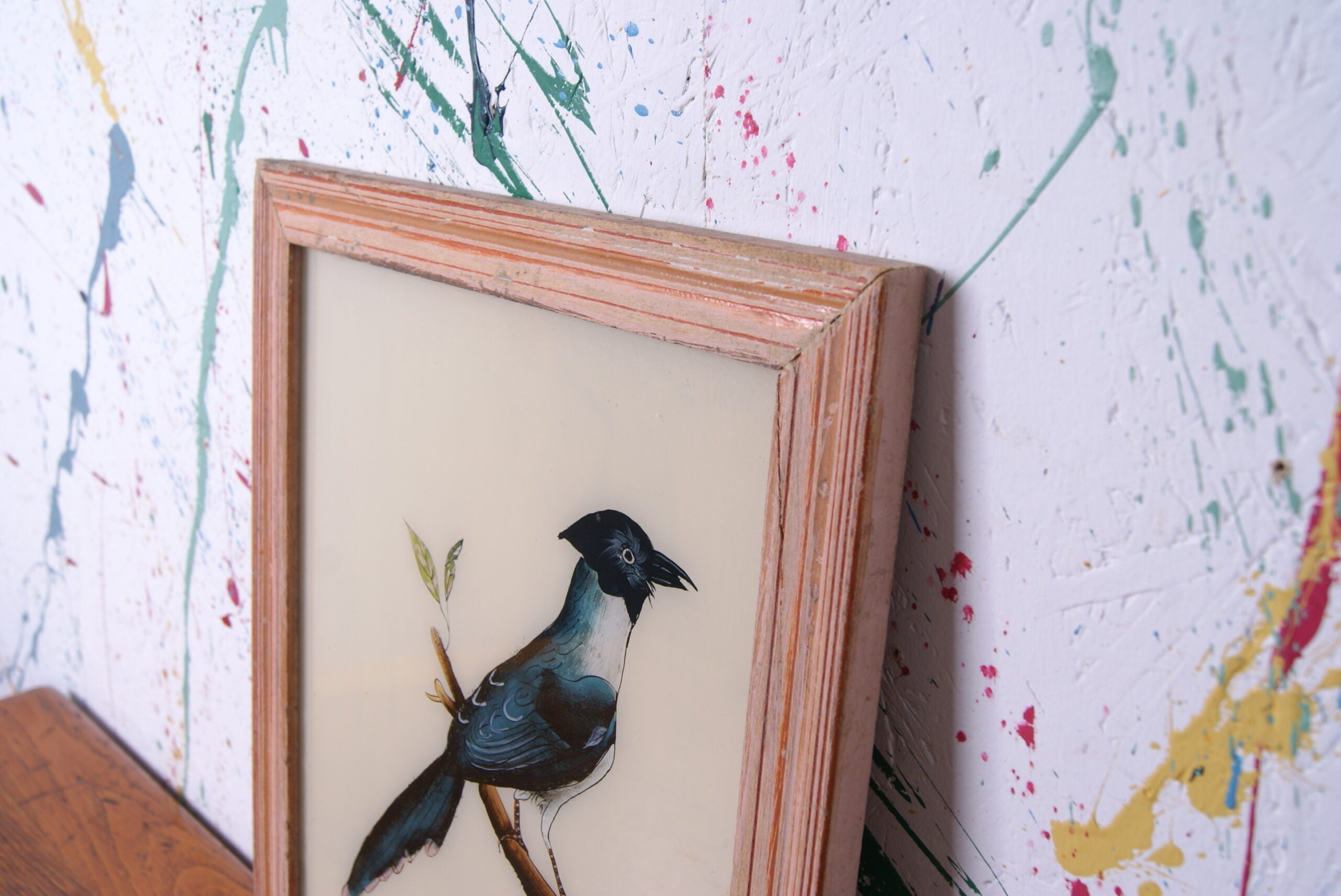 bird-indian-picture-2