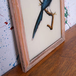 bird-indian-picture-4