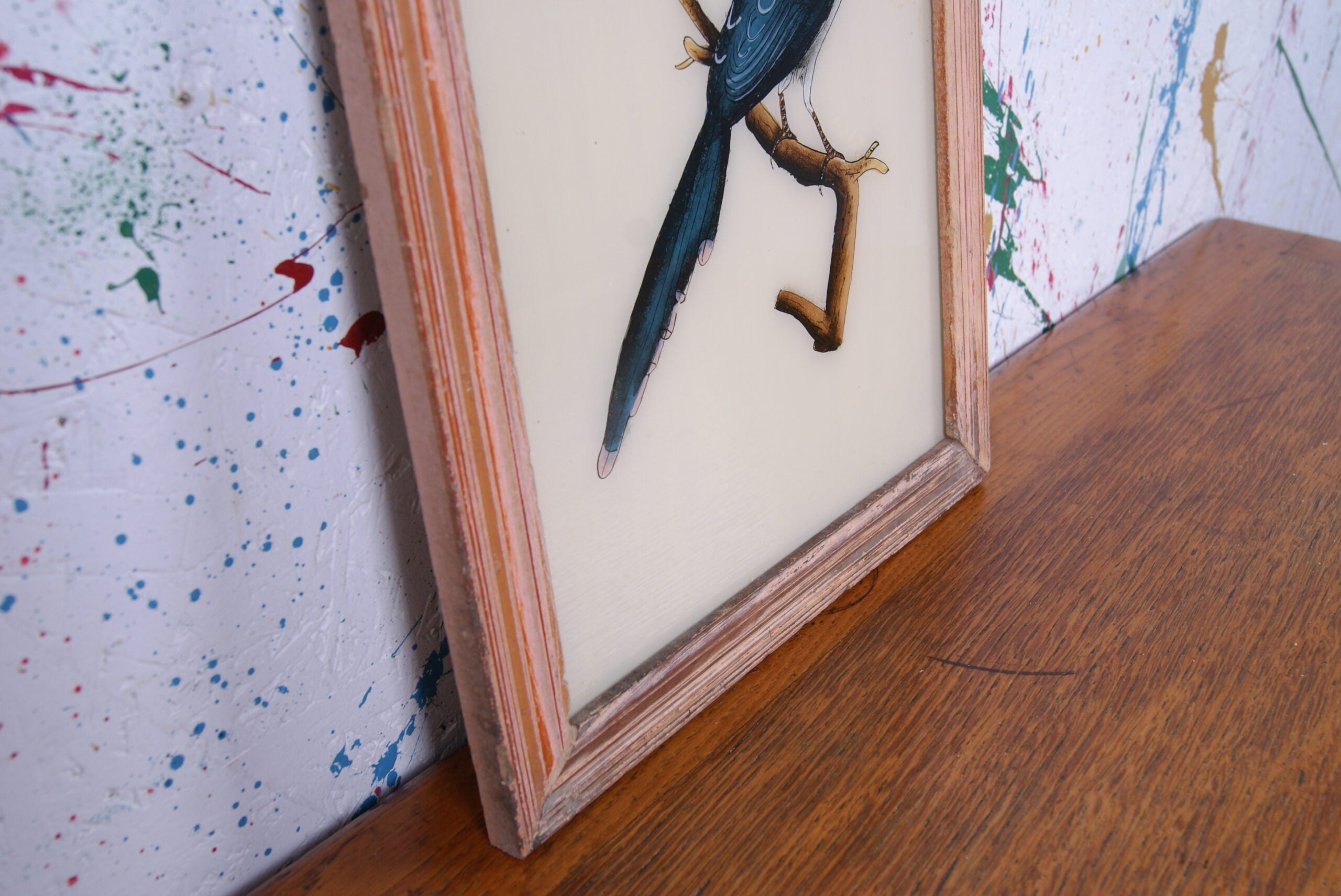 bird-indian-picture-4