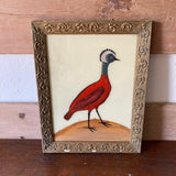 bird-picture-1
