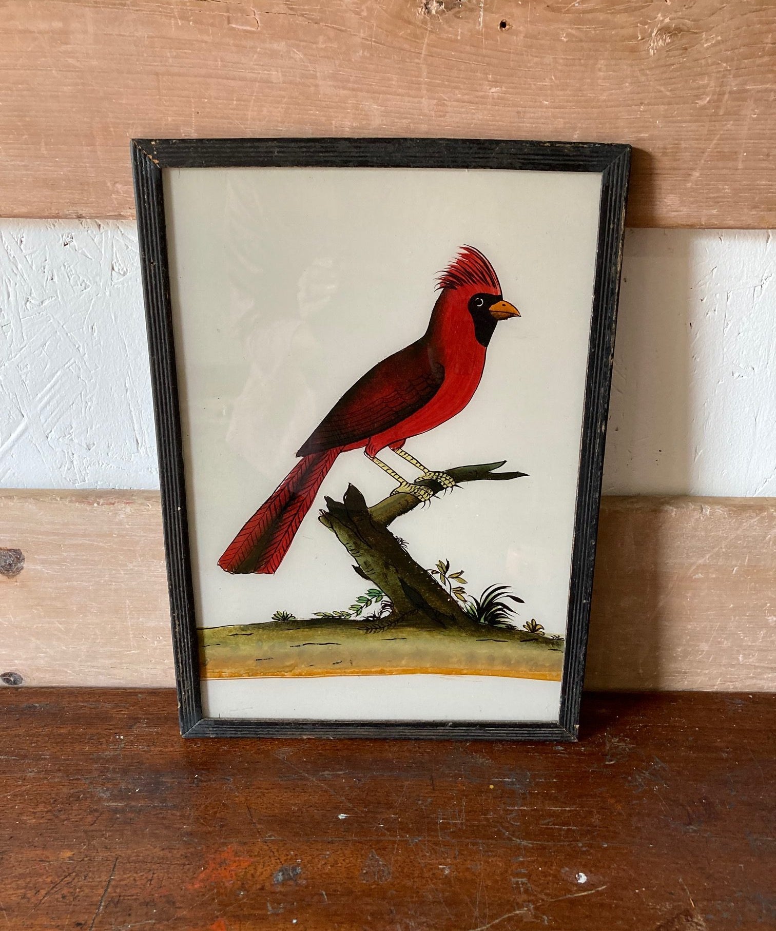 bird-picture-1