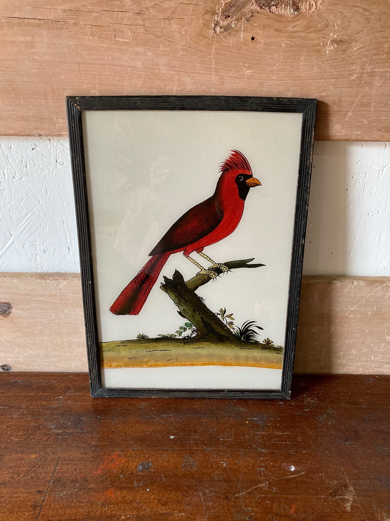 bird-picture-1