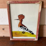 bird-picture-2