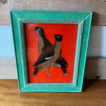 birds-picture