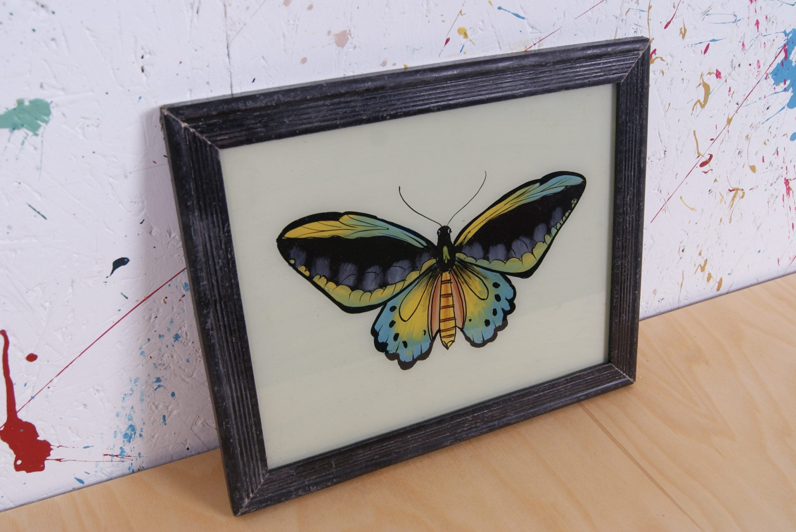 black-butterfly-picture-2