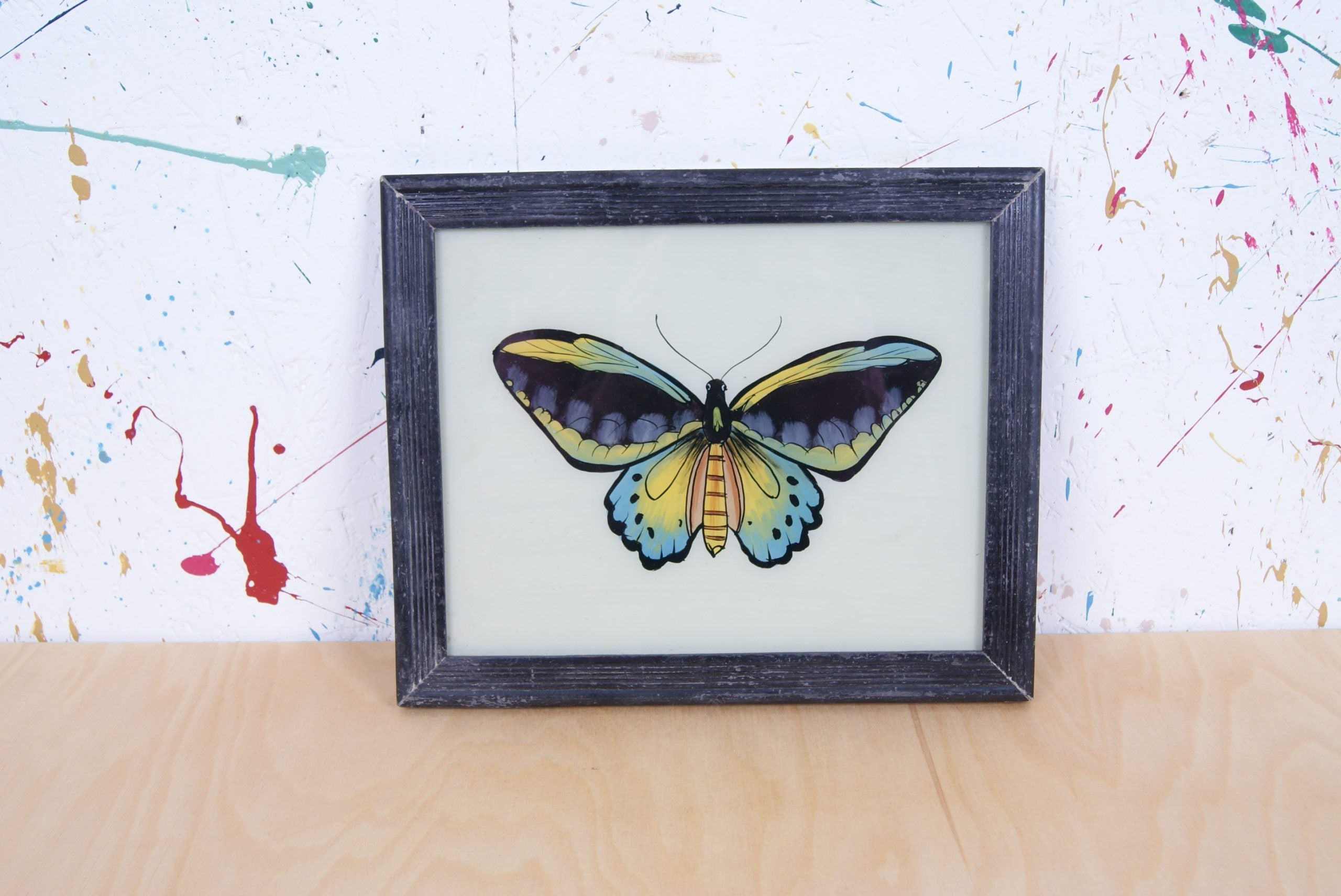 black-butterfly-picture-3