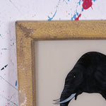 black-elephant-picture-1