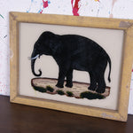 black-elephant-picture-3