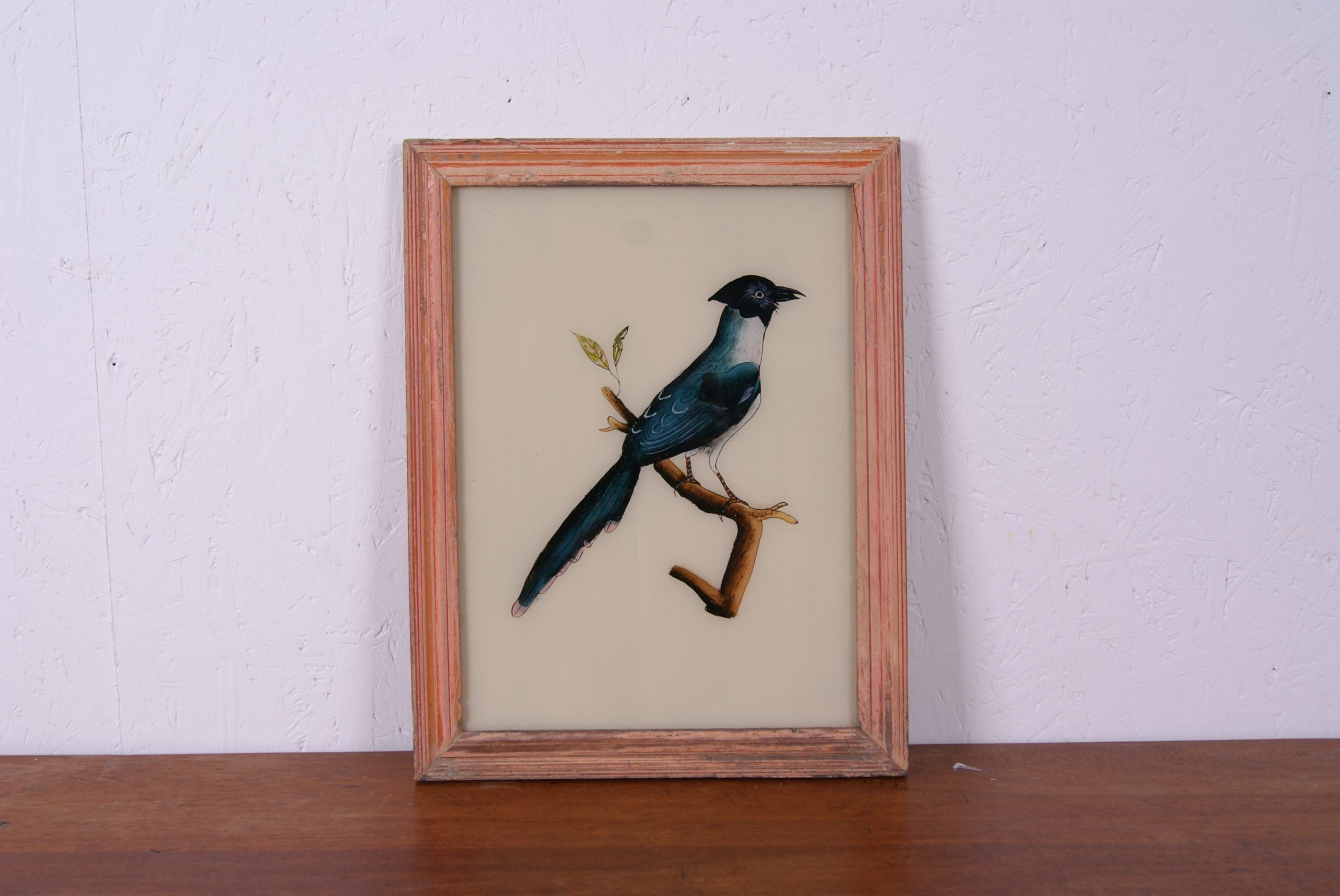 blue-bird-picture-1