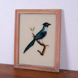 blue-bird-picture-3