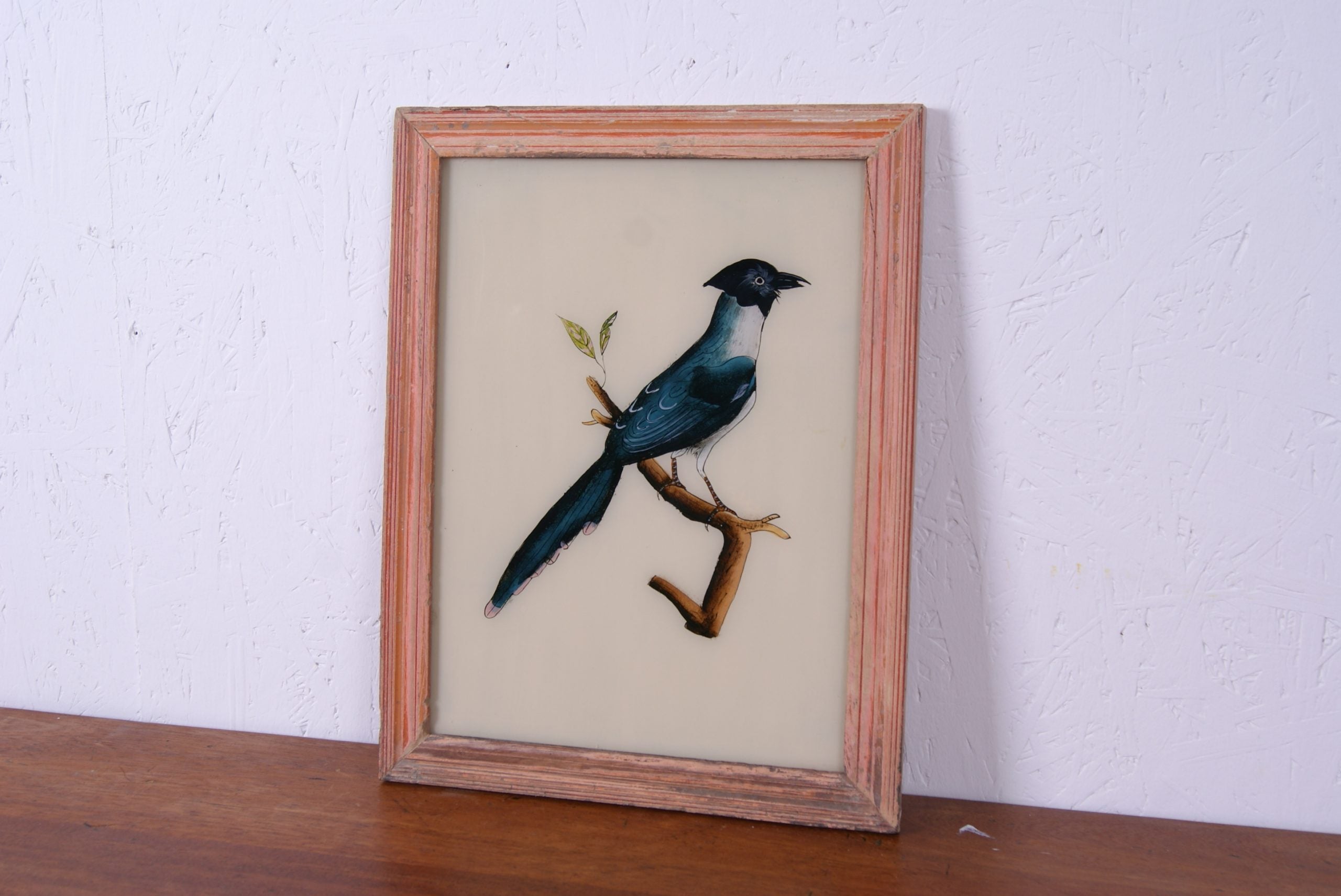 blue-bird-picture-3