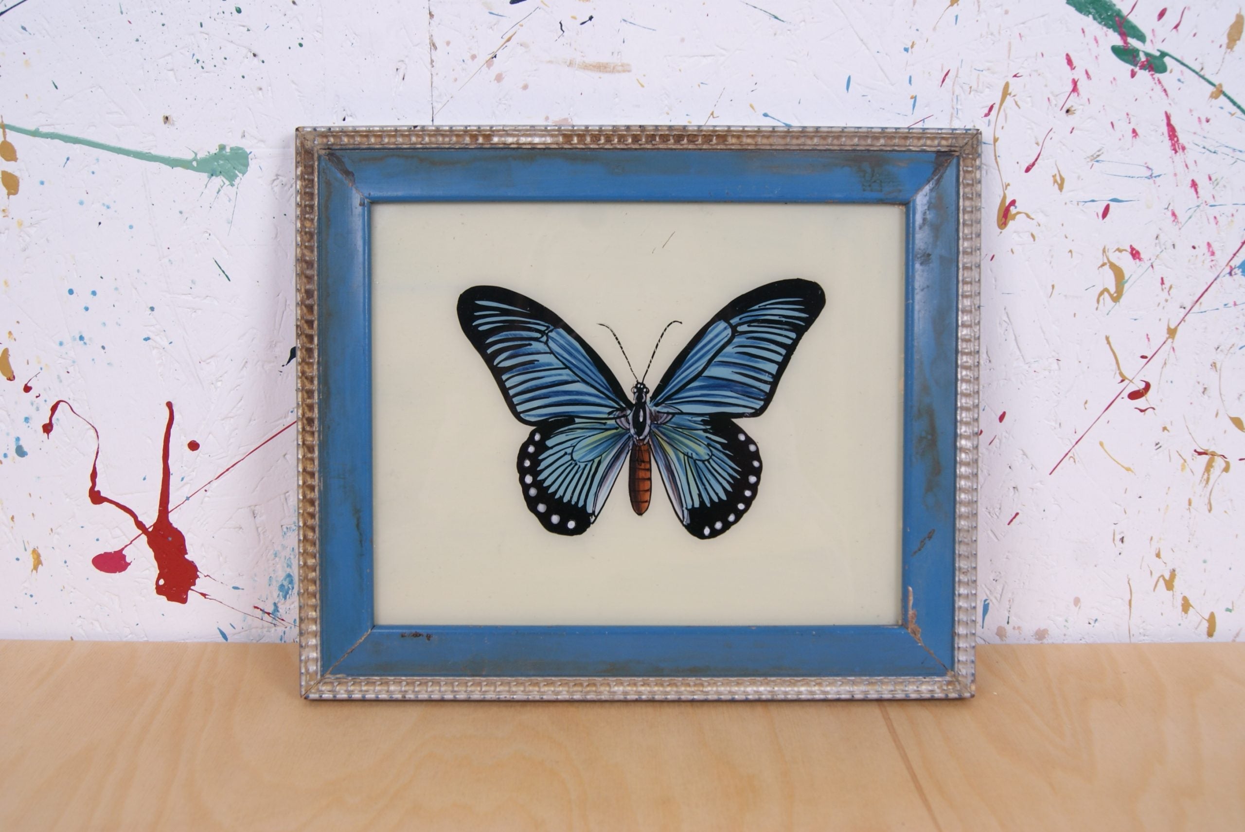 blue-butterfly-picture-1