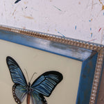 blue-butterfly-picture-2