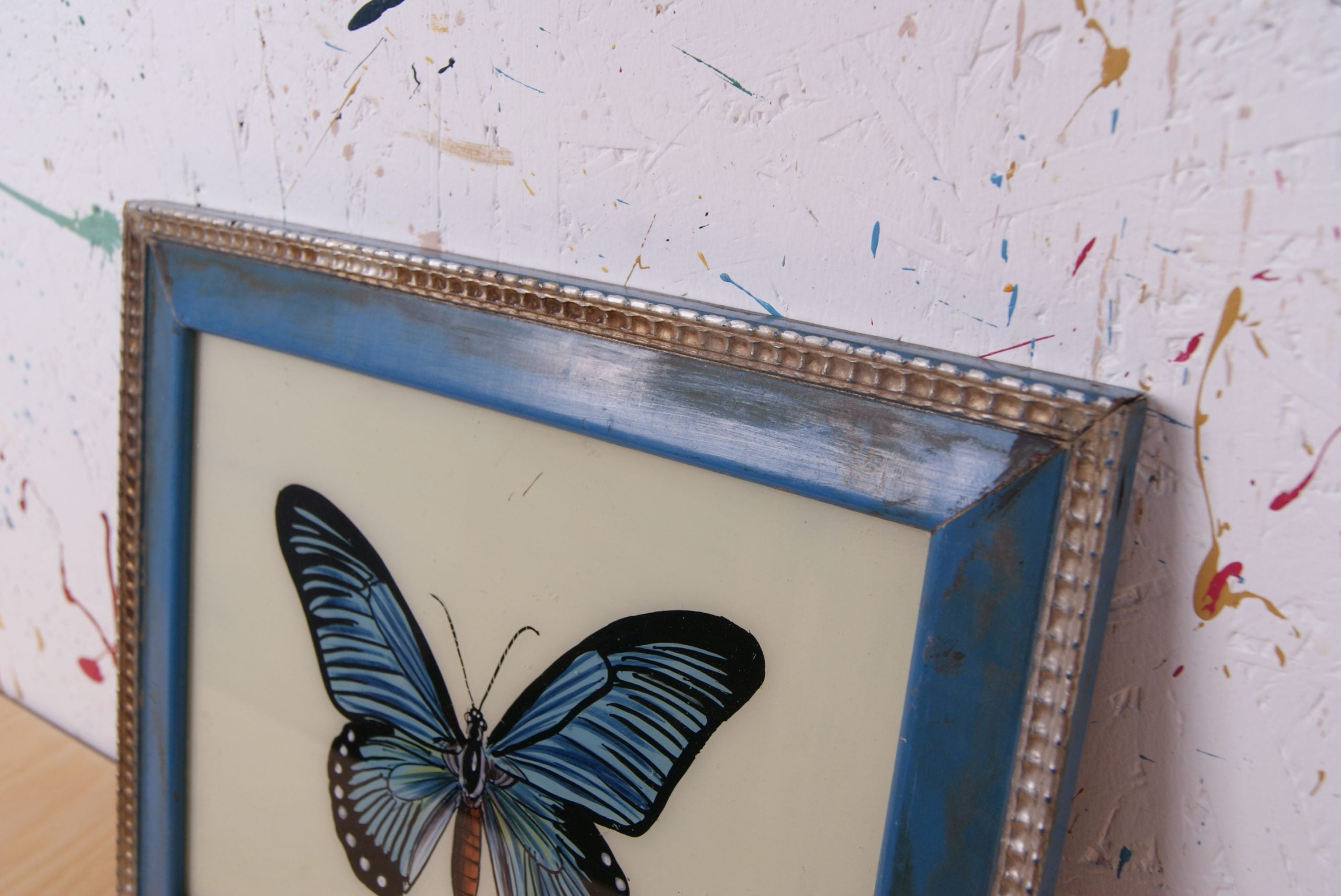 blue-butterfly-picture-2