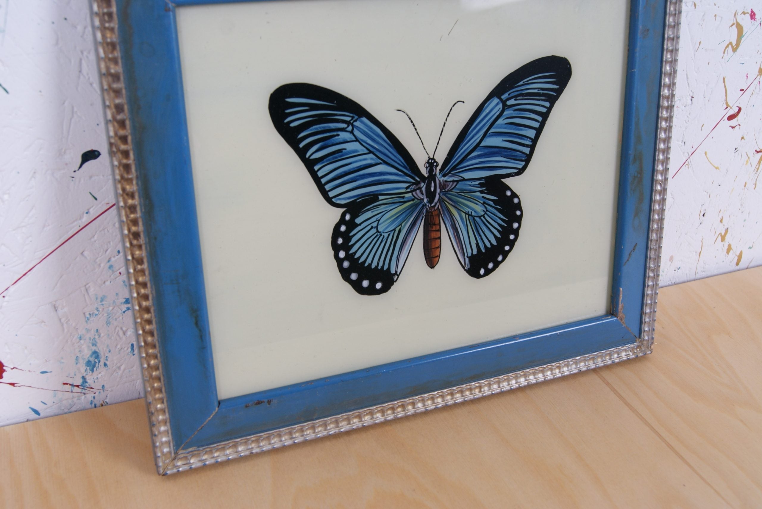 blue-butterfly-picture-3