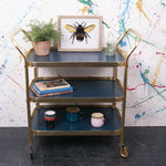 blue-gold-trolley-6