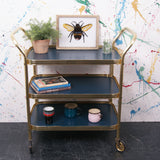 blue-gold-trolley-6