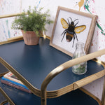 blue-gold-trolley-8