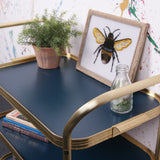 blue-gold-trolley-8